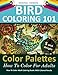 Bird Coloring 101: Color Palettes. How To Color For Adults. (How To Color Adult Coloring Books With Colored Pencils)