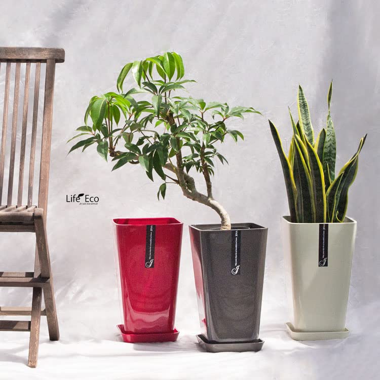 鉢 21cm Amazon | 樹脂製ポット JENA 受皿付 カシスレッド □21cm 植木鉢