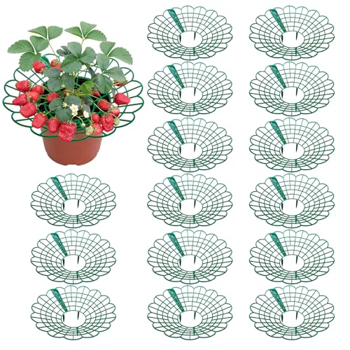 AIMEIKE Erdbeerstützen Ständer Erdbeer Reifer Erdbeerreifer Schneckenschutz Erdbeeren Schutz Erdbeerregal Balkon Erdbeernetze Abnehmbares Pflanzenregal vor Fäulnis Schimmel (Dunkelgrün)