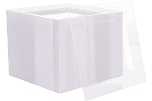 N9R 70 Pack Clear Plastic Appetizer Plates: Premium 6.5 Inch Square Crystal...