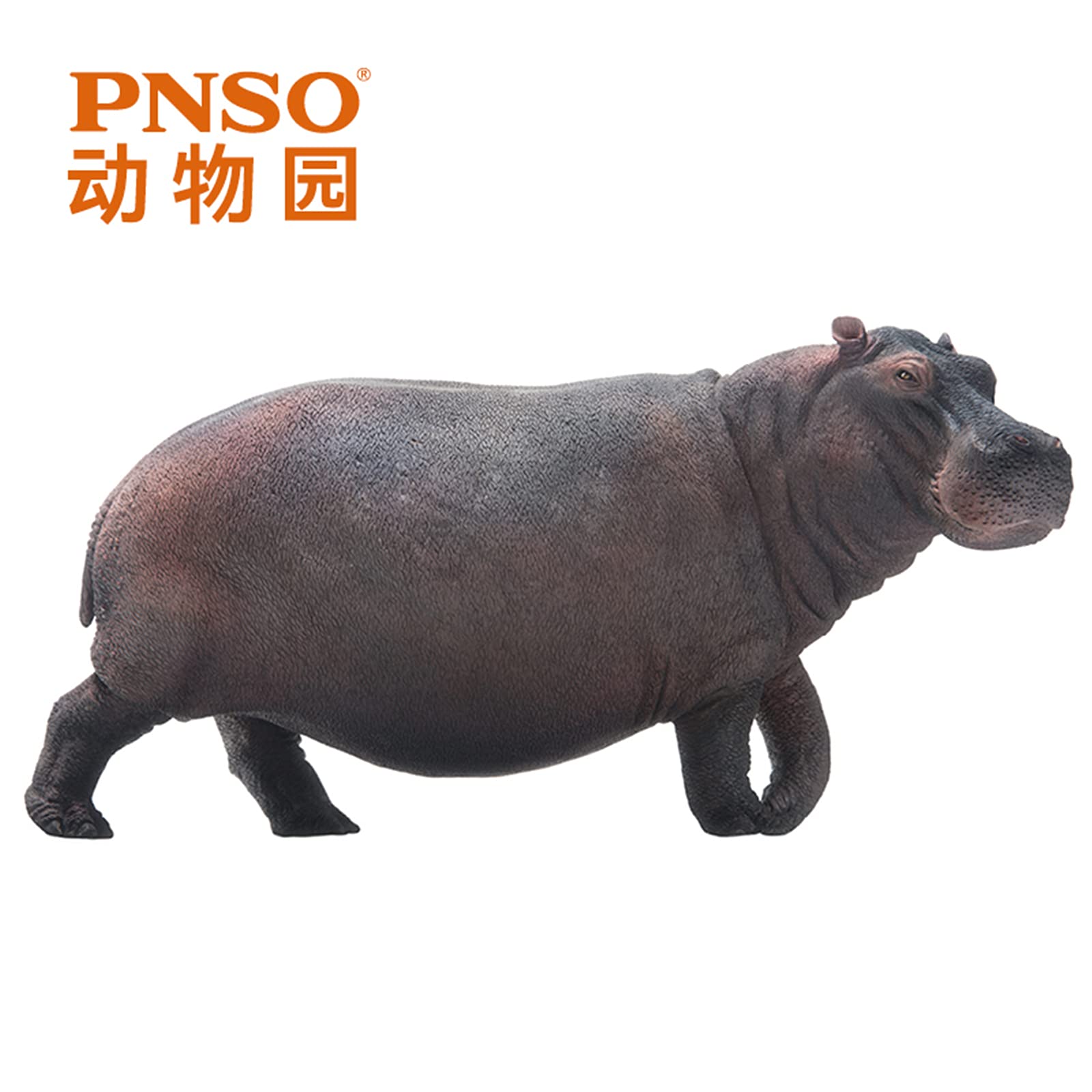 Amazon | PNSO 動物園シリーズ 02 カバ 河馬 アフリカ 26cm級 野生動物