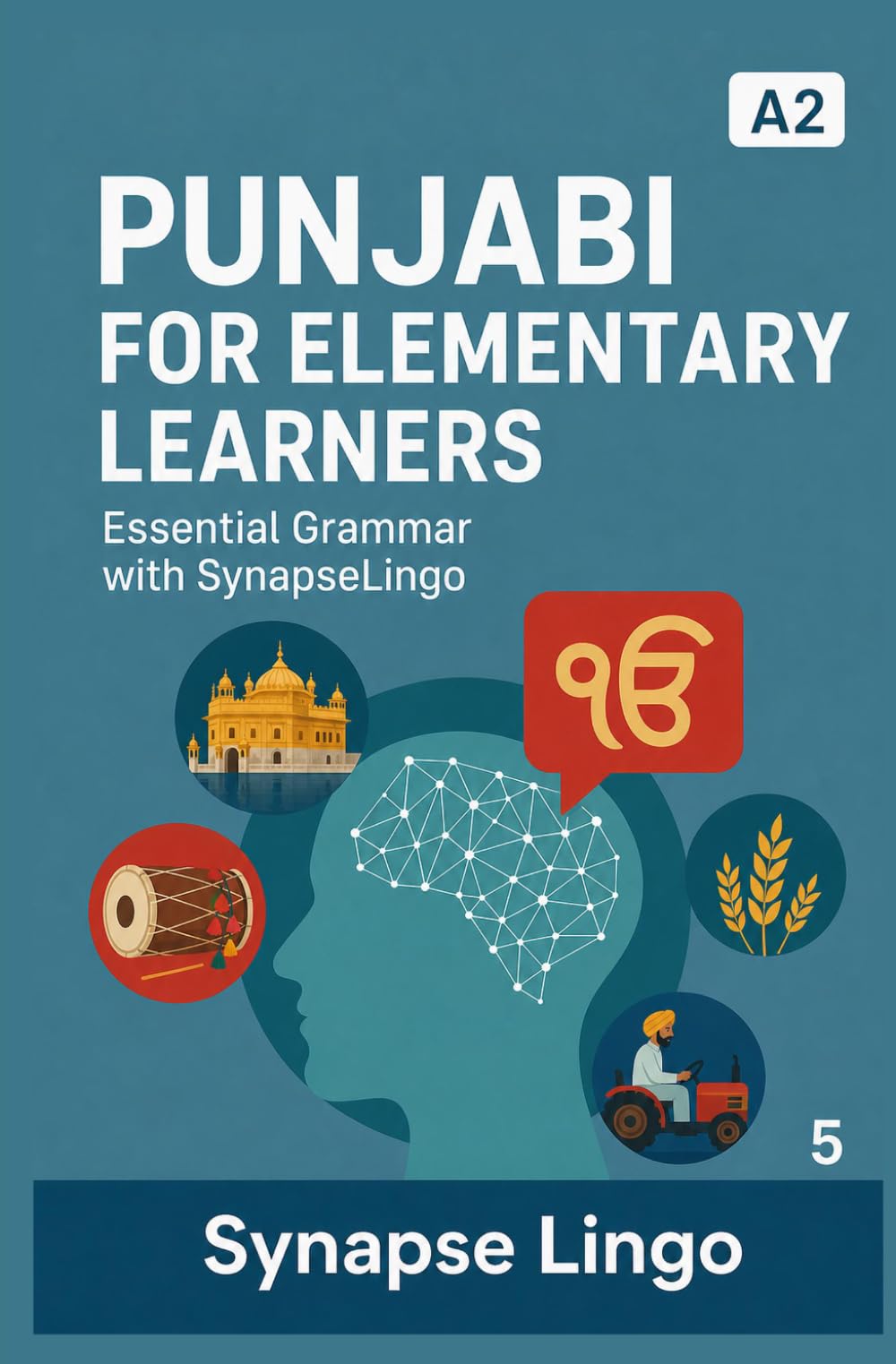 Punjabi for Elementary Learners: Essential Grammar with SynapseLingo (Learn Punjabi)