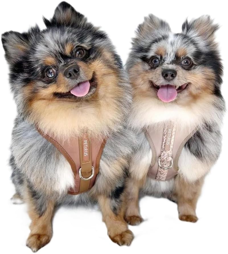 Premium Dog Harness Neoprene Brown Taupe Mushroom Snake Leather Design Sport Small Medium Large No Pull Adjustable Breathable Lightweight Pet (S: Neck=13.8-17.3''/Chest=16.1-21.3'')