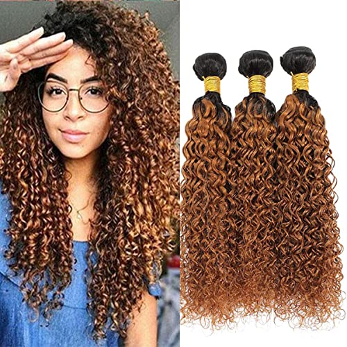 30 Hair Bundles Kinky Curly Unprocessed Virgin Hair Grade 8A Hair Weave Ombre Human Hair Bundle Black To Brown Color 3 Bundles Curly Wave Hair 10 12 14 Inch