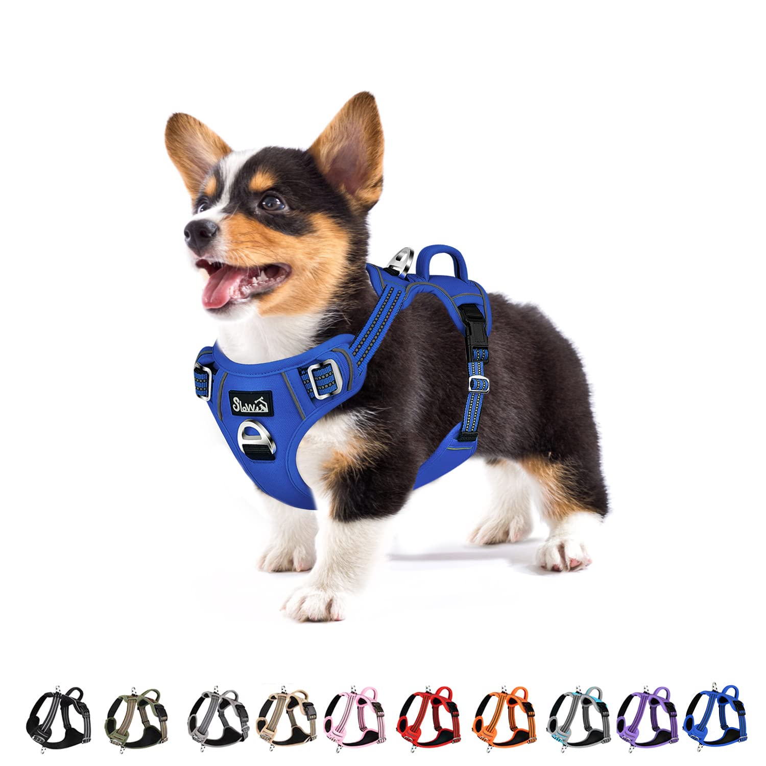 Eyein Dog Harness Small Dog, Anti Pull Adjustable Heavy Duty Pet Vest Harness with 2 Clips, Easy Control Escape Proof Puppy Harness with Soft Padded Handle Reflective for Outdoor Training Walking, S