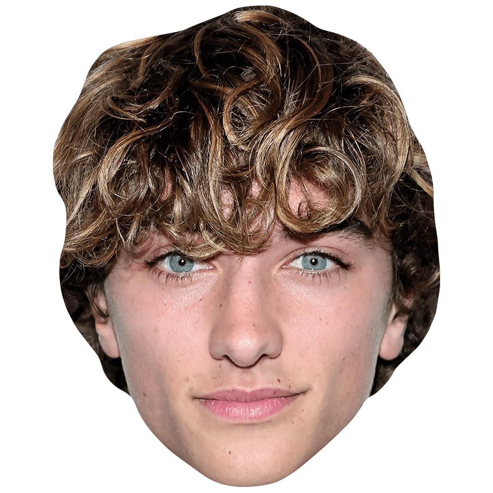 Gavin Casalegno (Curls) Celebrity Mask, Flat Card Face, Fancy Dress Mask