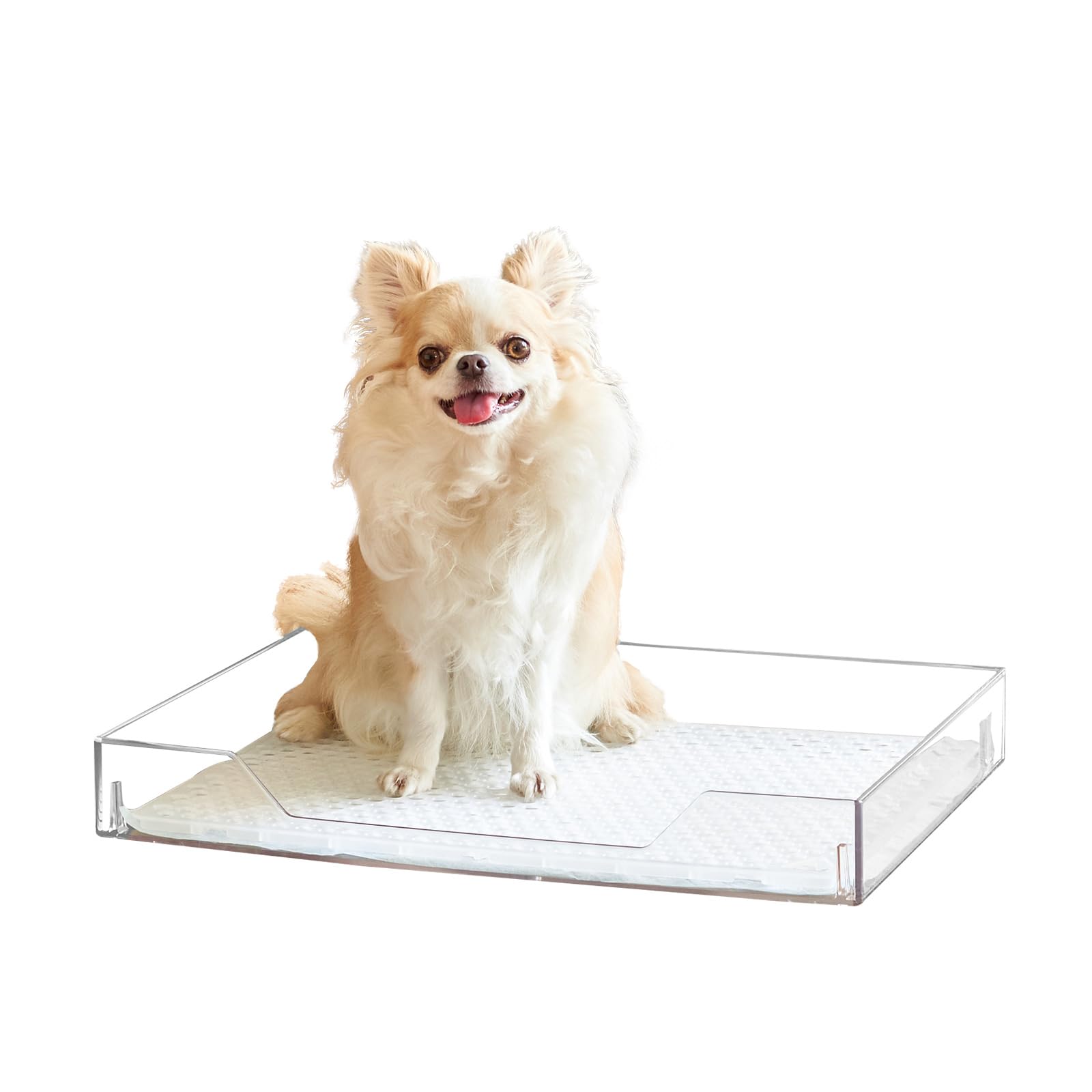 1個なら5000円　クリアレット2（S）【犬トイレ】小型犬用　4個セット Amazon | 【OFT】 クリアレット2 S フルセット (レギュラーシーツ
