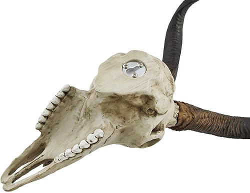 Miniatura 4 de Veronese Design Antílope africano Kudu cráneo colgante de pared cuernos retorcidos frescos