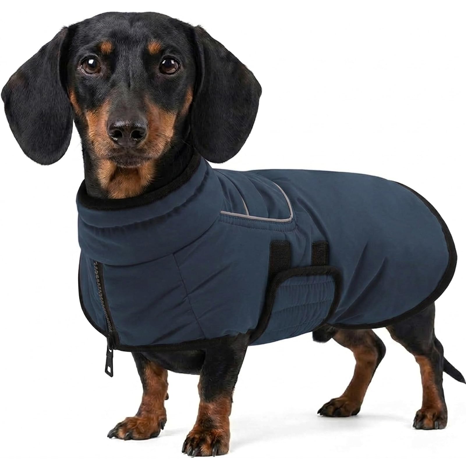 AOFITEE Dog Coat for Small Dogs Winter Dog Jacket with Belly Protection โ image 1