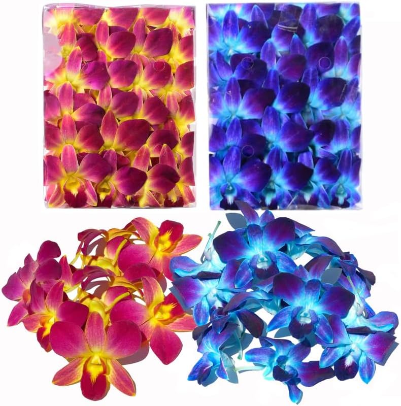 Miami Fresh Orchid Flower OrchidClub USA Sunne Tropical Loose Bloom DIY Lei, decoración de alimentos y bebidas 5050 (amarillo y azul)