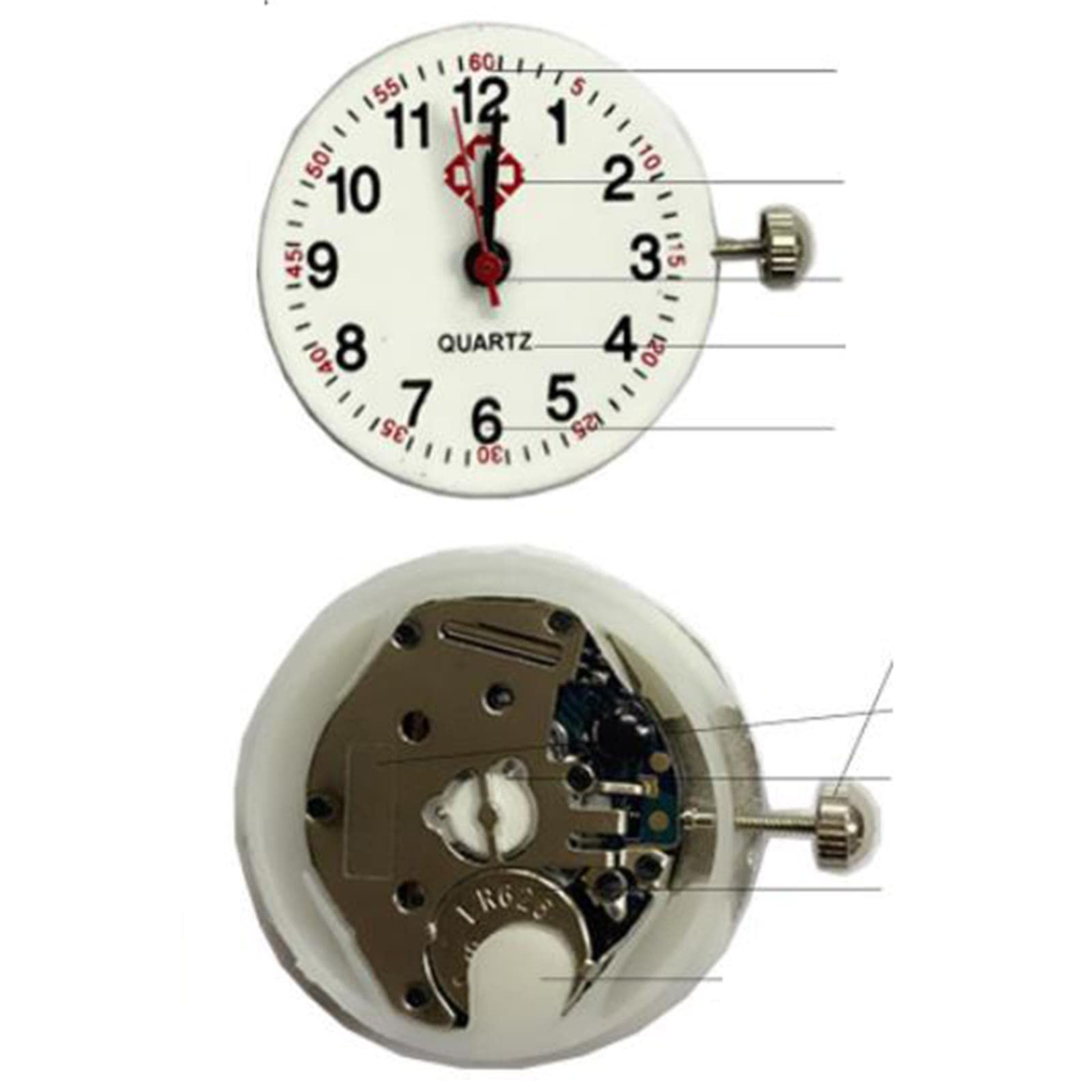rockible 6x Nurse Fob Watch Leuchtende Brosche Quarzuhr Clip auf Anhänger