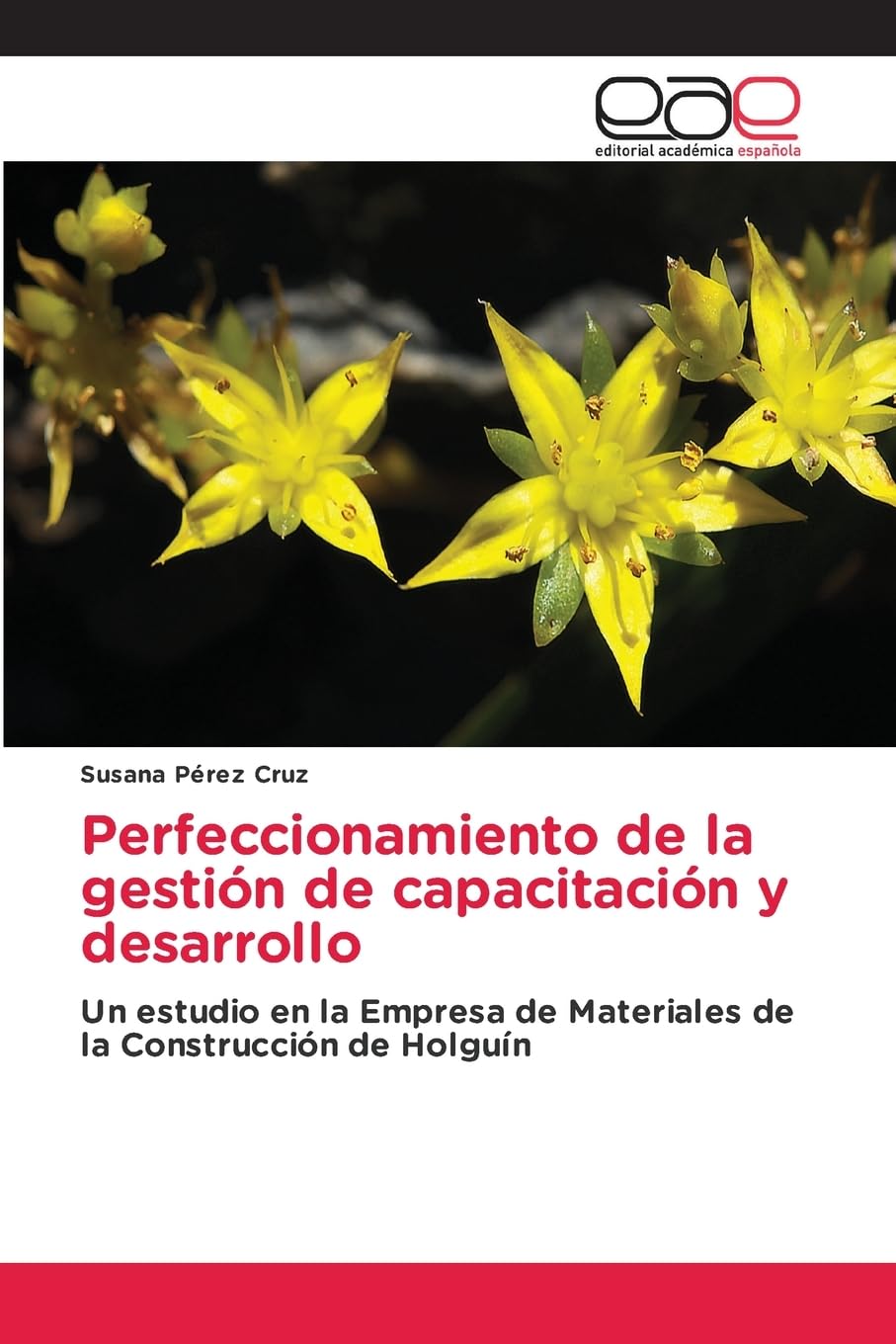 Perfeccionamiento de la gestión de capacitación y desarrollo: Un estudio en la Empresa de Materiales de la Construcción de Holguín