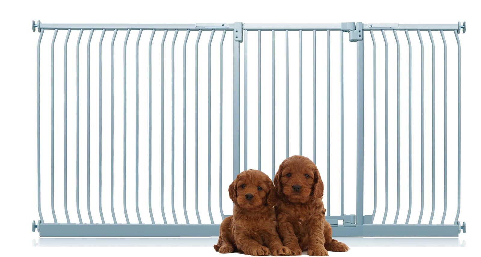 Bettacare Extra Tall Elite Dog Gate, 234cm - 243cm, Matt Grey, Extra Tall 100cm in Height, Pressure Fit Pet Gate for Dog and Puppy, Pet and Dog Barrier, Easy Installation