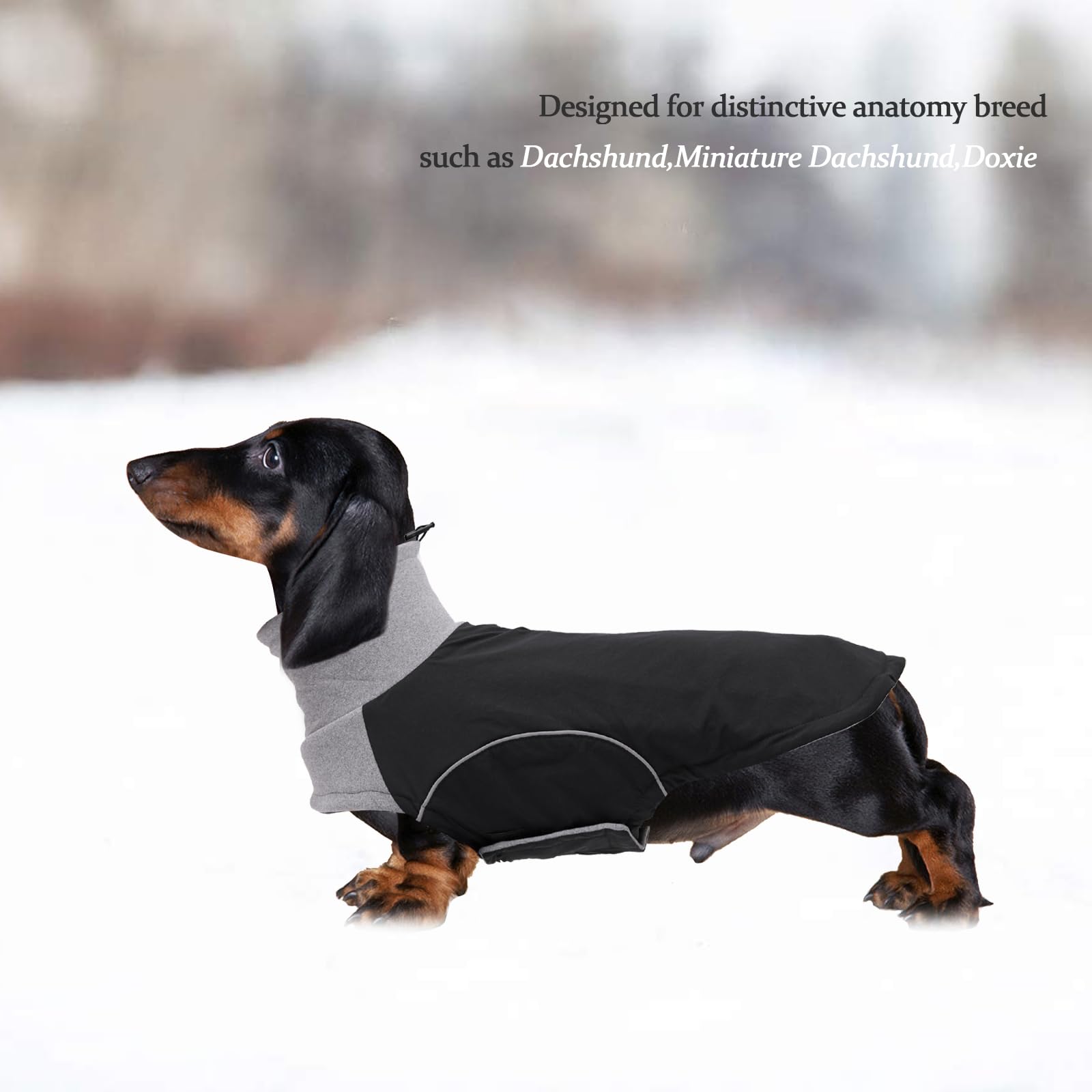 babepet Dachshund Winter Coat, Waterproof Miniature Dachshund Clothes - Image 2