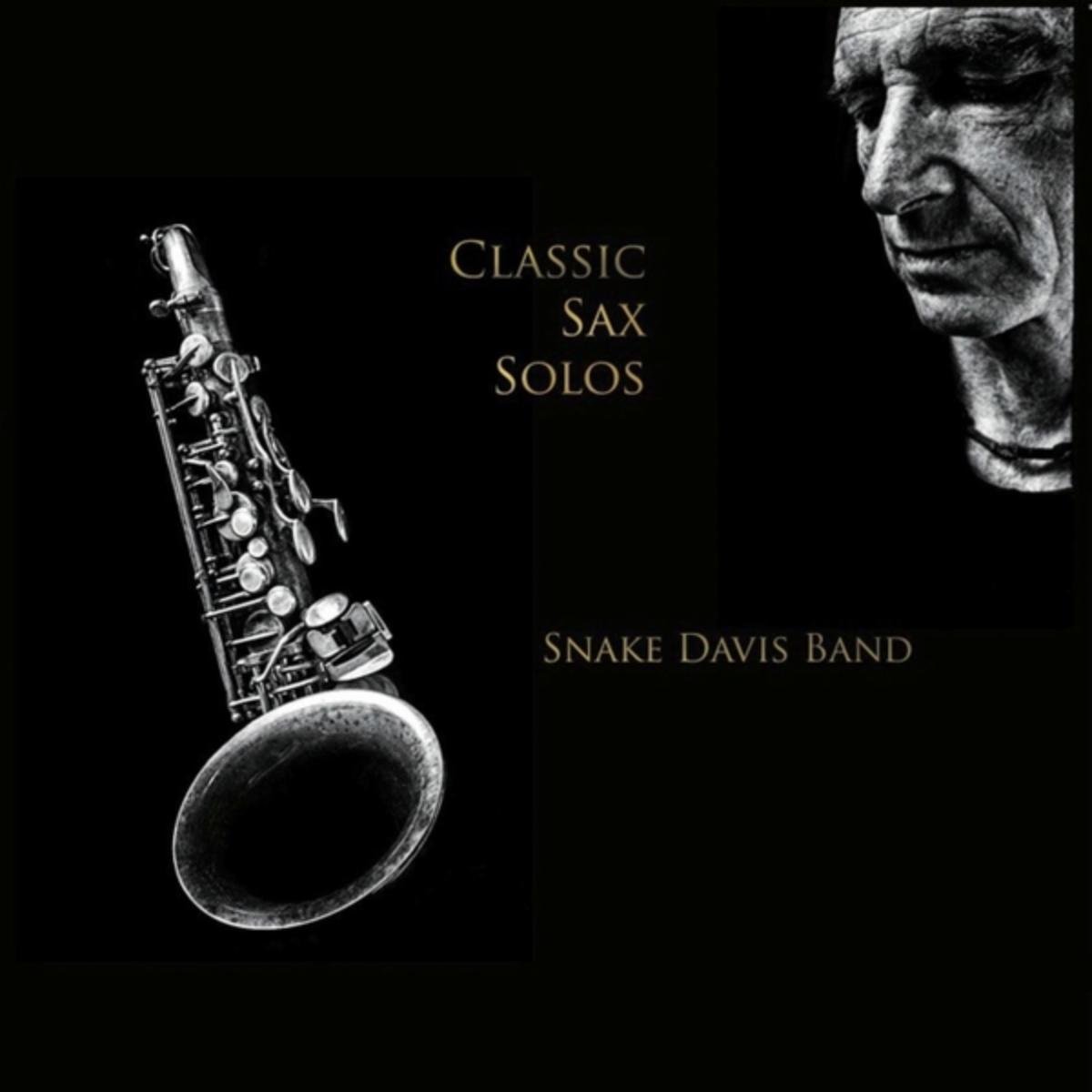 Snake Davis Band