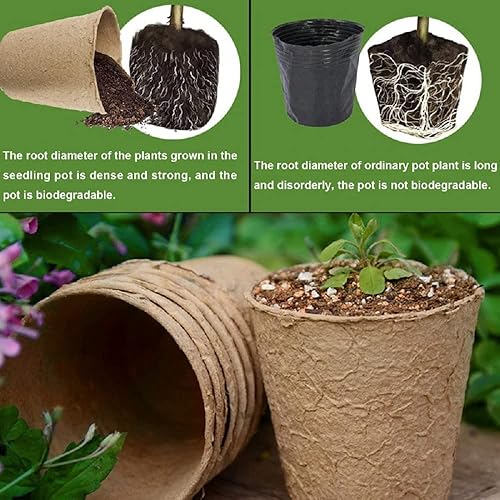 Miniatura 4 de 3T GROUP 50 macetas pequeñas de 3 pulgadas, macetas de semillas biodegradables, macetas compostables para plantas, tazas de turba desechables con