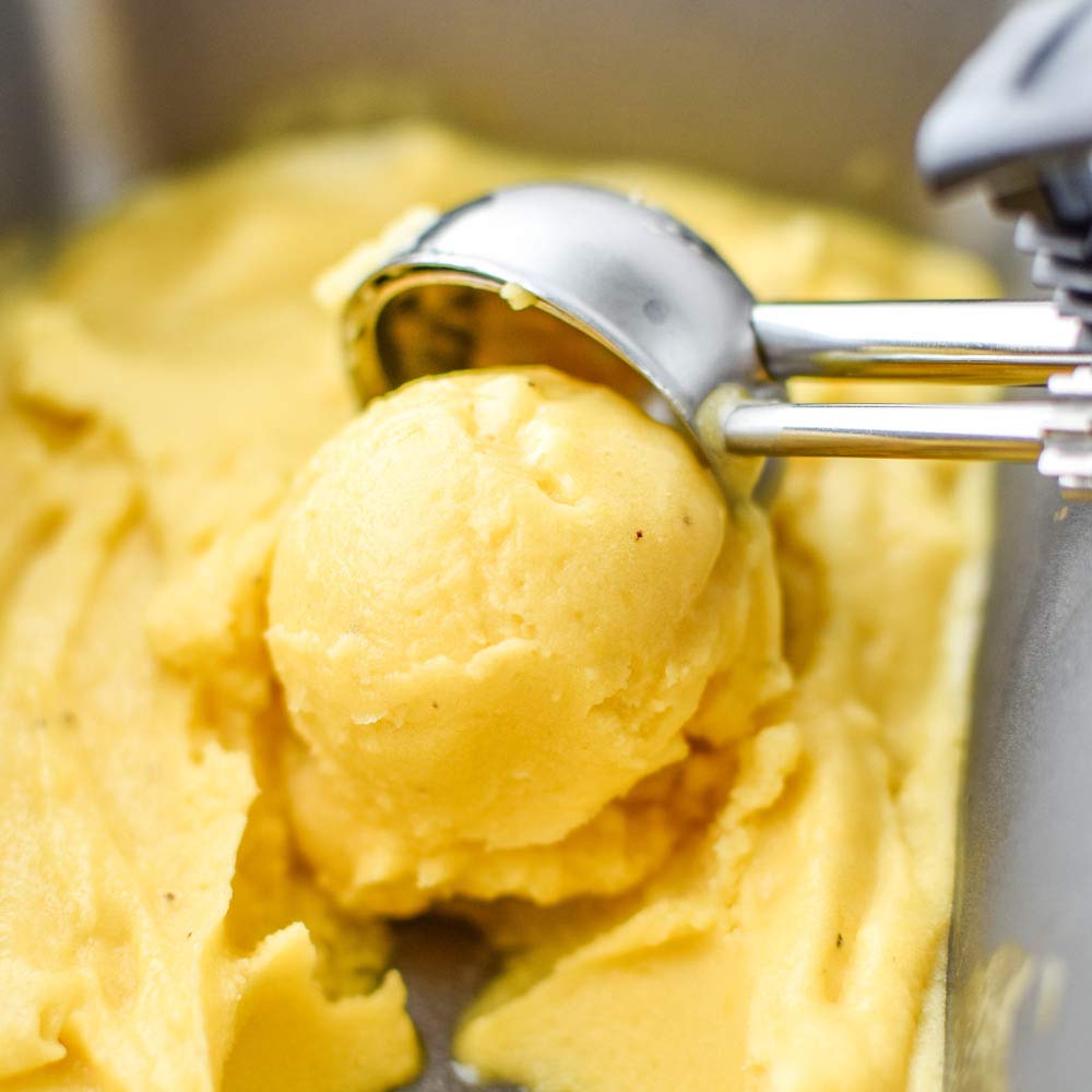 1,25 kg Helado o Sorbete al Gusto Soleado Tropical, Producto Listo para heladería Artesanal