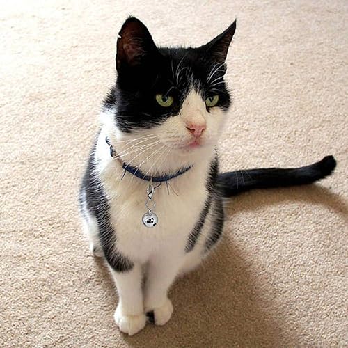 Miniatura 5 de 4 juegos de campanas de gato para collar de perro, accesorios colgantes de entrenamiento para mascotas con 2 clips de acero inoxidable para placa de