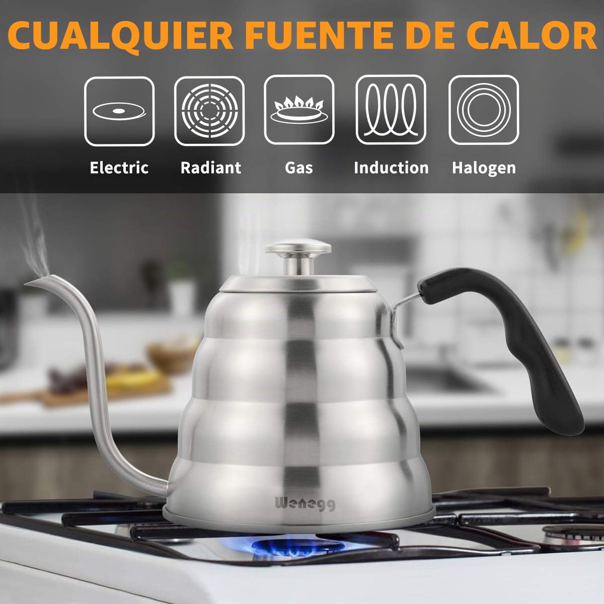 1.2 L Hervidor de Agua con Cuello de Cisne de Acero Inoxidable, Hervidor de Agua con Termómetro para Placas de Gas e Inducción, Gooseneck Kettle para Preparar Té y Café, Plata