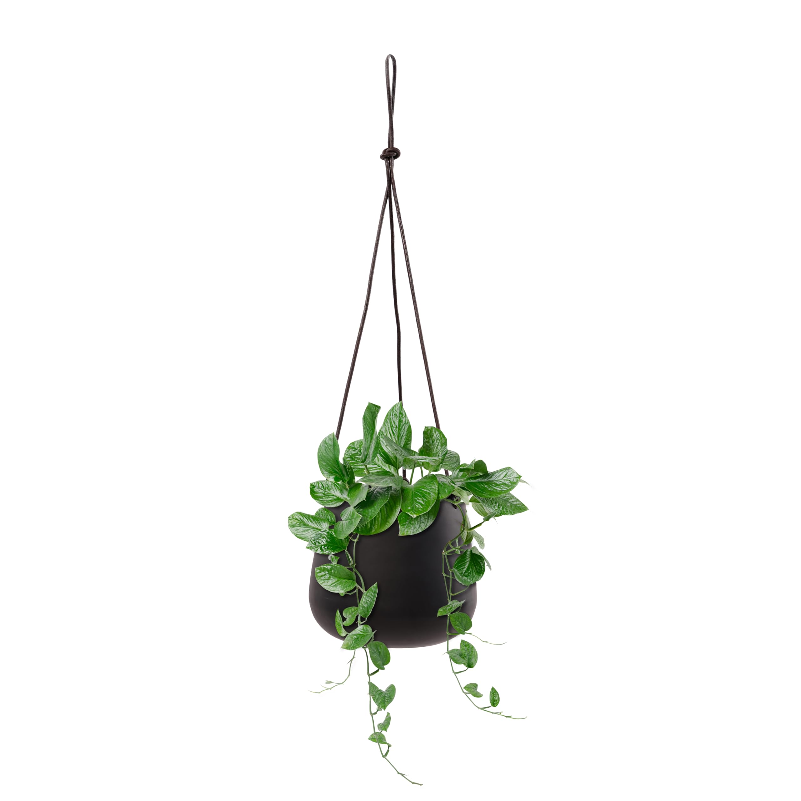 Olly & Rose Matowy czarny szczotkowany metalowy wiszący zestaw doniczek na rośliny 2-14 cm - wiszące doniczki i doniczki do wnętrz
