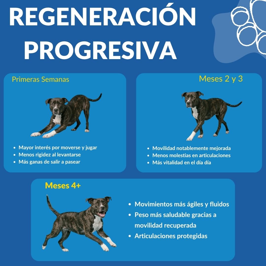 Condroprotector Perros 360 Uds (1 Año) Colágeno Magnesio y Calcio, Mantenimiento Articular, Glucosamina, Condroitina, Cúrcuma, Vitality Complex para Movilidad, Huesos. Faucare