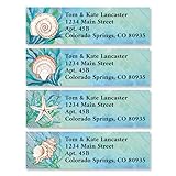 Colorful Images Blue Shells Beach Small Classic Return Address Mailing Labels, Personalized with Name & Address, Set of 240 Self Adhesive, Easy Peel Flat Label Sheets, 1½” x 1¾”, 4 Designs