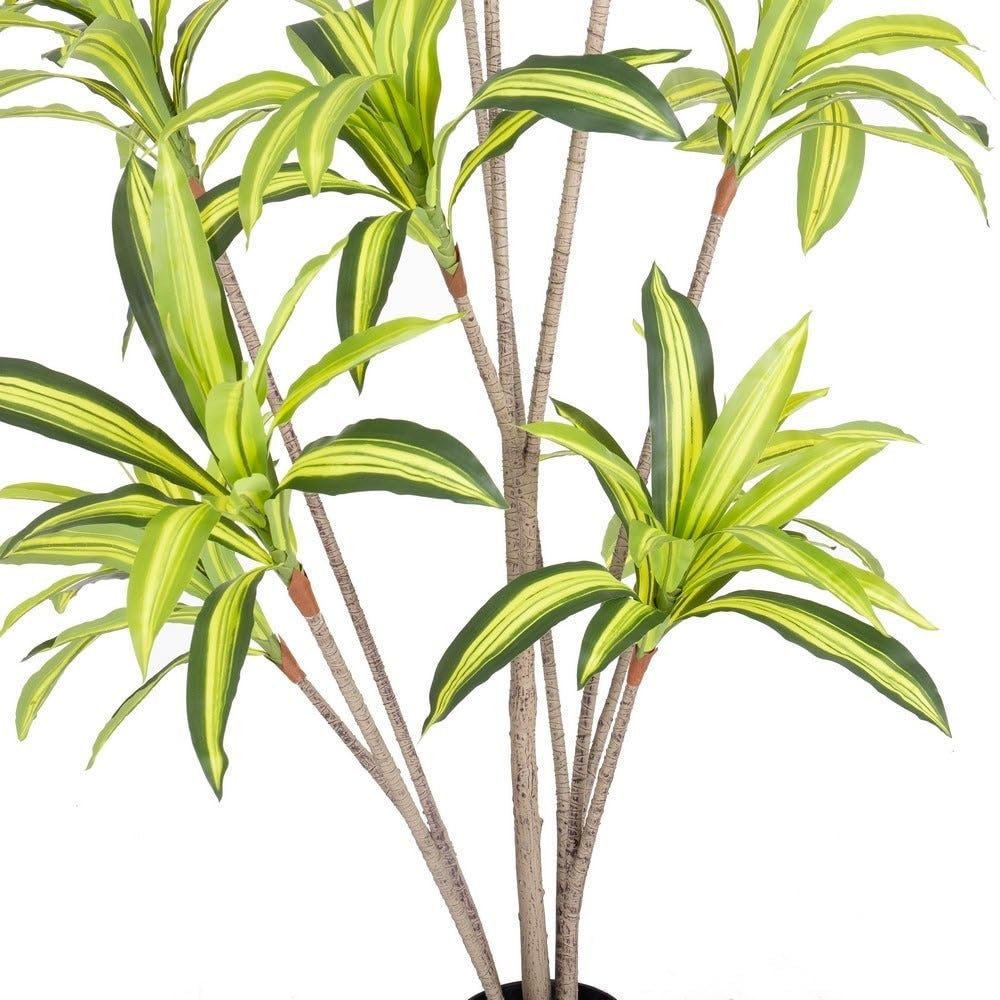 LOLAhome Planta Artificial Dracena para Interior y Exterior, 210 cm
