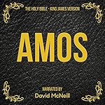 Cover of The Holy Bible - Amos