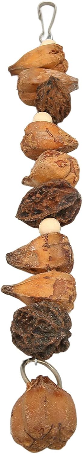 Nuts Chew Toy, Bird Chew Toys, Parrot Toys Grinding Mouth Bite Resistance Logs Natural Nuts Hanging Parrot Chew Toys Bird Toys for Parrots Budgies Macaws