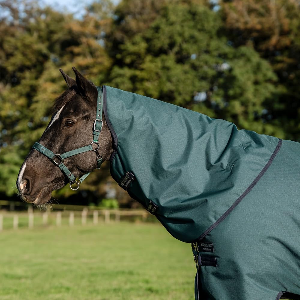 Horseware Amigo Ripstop 900D Plus Turnout 100g Decke Dynasty Green/Navy & Silver, Deckengröße:160 cm / 7´0