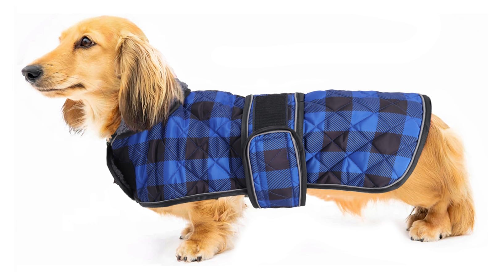 Geyecete Waterproof Warm Thermal Quilted Dachshund Coat with warm fleecy lining inside,Outdoor Dog Apparel with Adjustable Bands for DOG-Blue-S