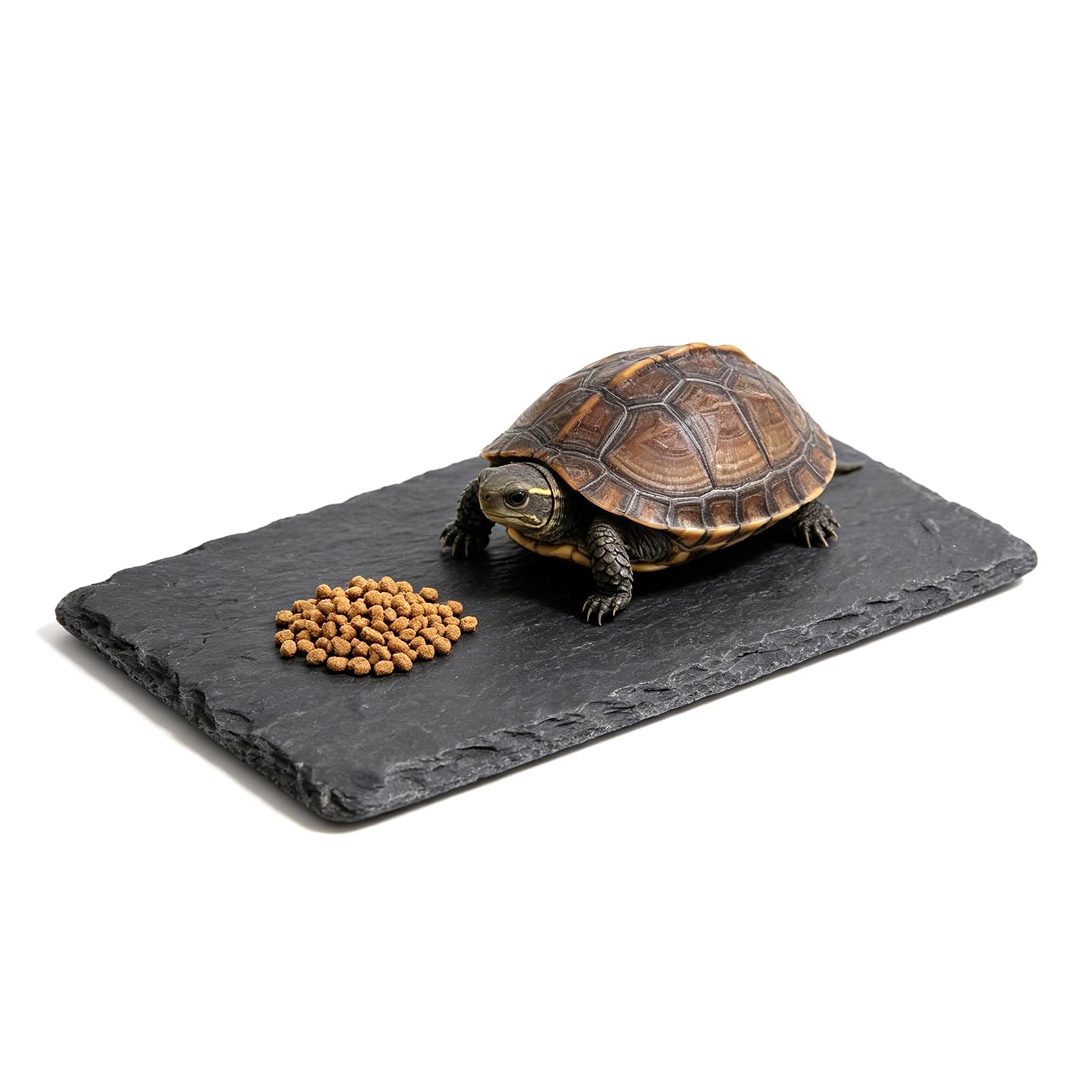 PEAPIN 10 x 20 cm Reptile Basking Platform, Slate Rock for Tortoise Turtle