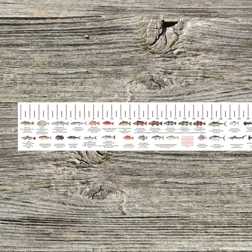 Generic State Saltwater Fish Identification and REGULATIONS 50 INCH Ruler Decals (Alabama)