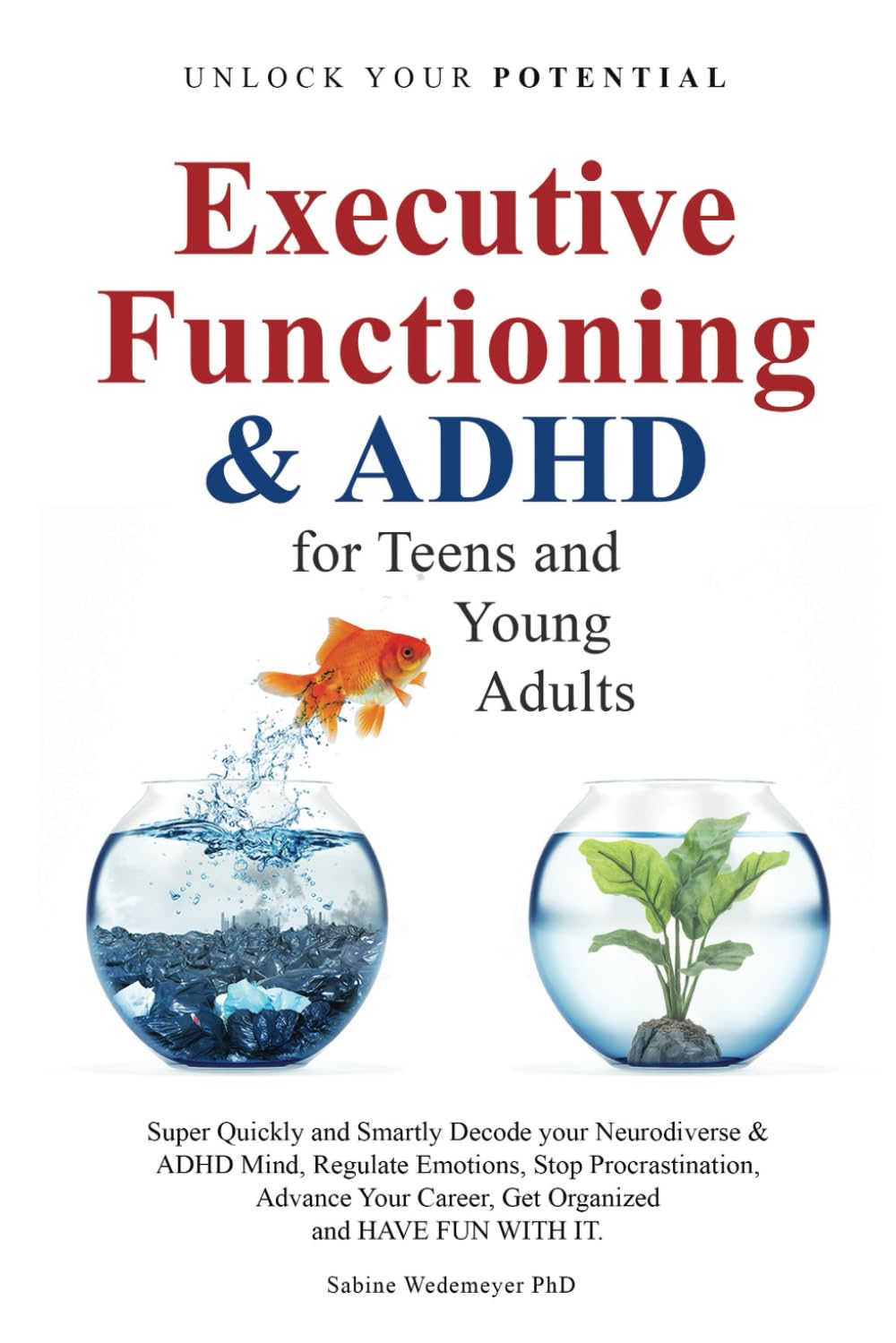 Executive Functioning & ADHD: for Teens and Young Adults