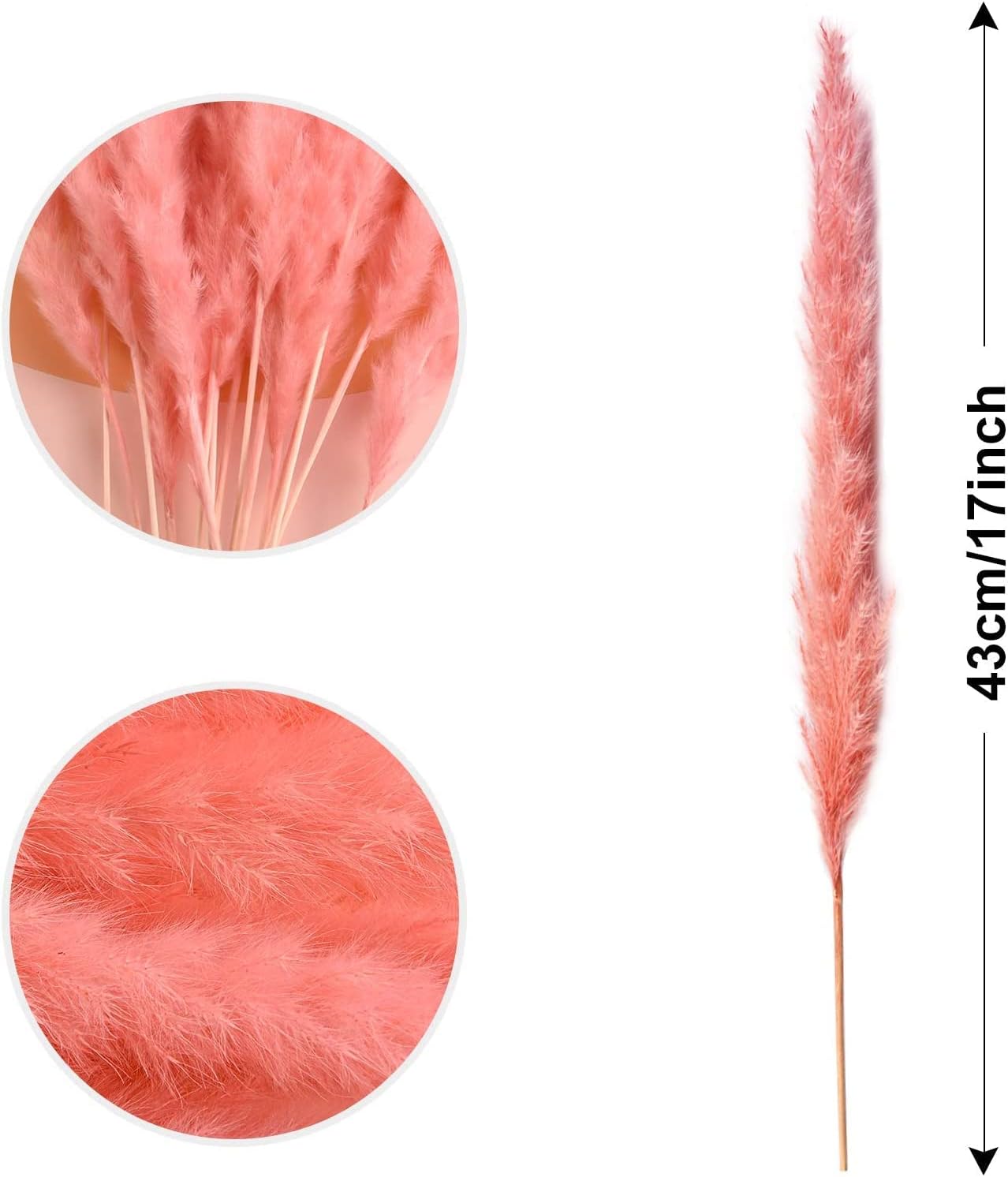 Dry Pampas Grass Natural Dried Bundle for Home Decor 20pcs (Pink)