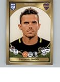 2016-17 Panini FIFA 365 Stickers Central/South America #185 Fernando Gago Boca Juniors Official Soccer Album Sticker in Raw (NM or Better) Condition