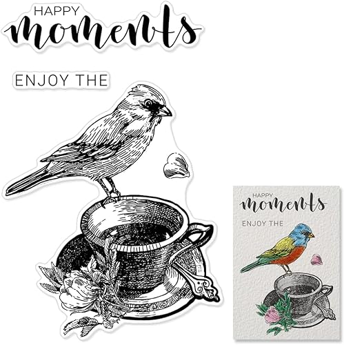 Sello de silicona transparente con diseño de pájaro en taza, fondo de pájaros de animales, sellos de silicona transparente con palabras de