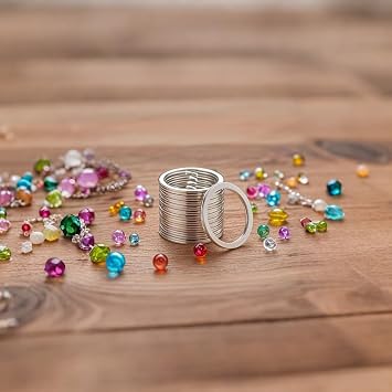12 Pack Keychain Rings for Craft, Stainless Steel 1 Metal Flat Key Ring Clips Round Split Rings Bulk for Home Car Keys Organization,Arts & Crafts,Lanyards (Silver, 25mm)
