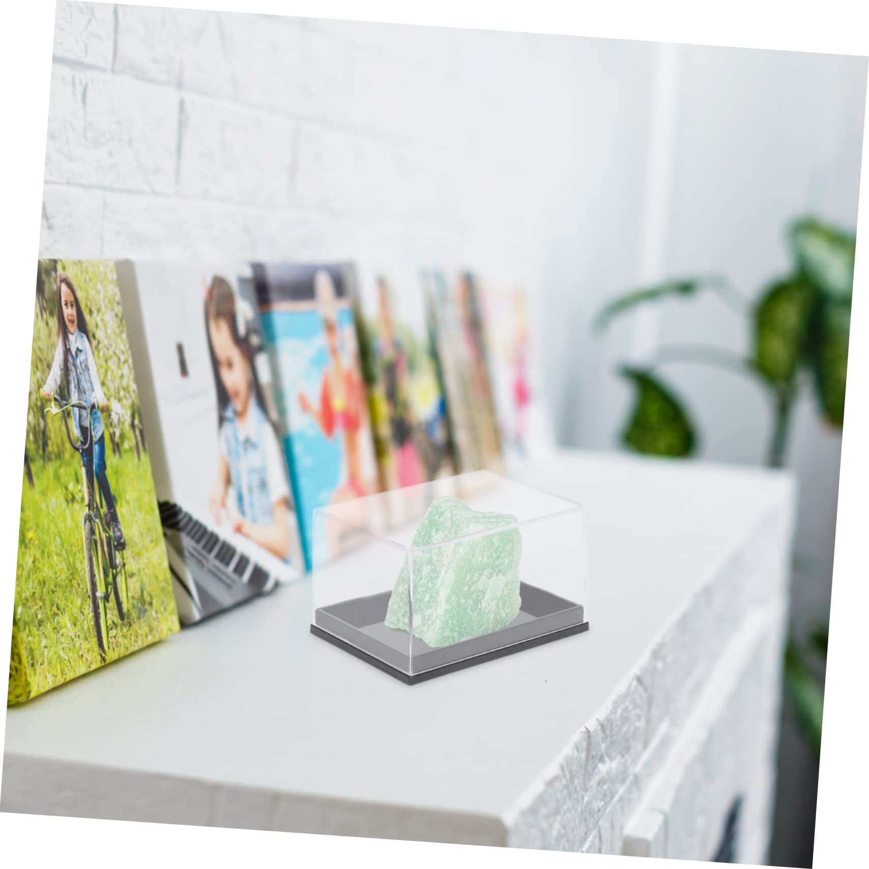 Levemolo 2sets Plastic Specimen Collection Box Grids Easy to Clean Store for Your Collection 6pcs*2