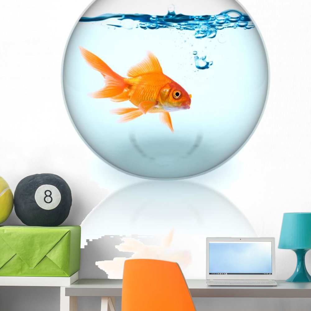 Wallmonkeys WM59762 Goldfish in The Bowl with Bubbles Peel and Stick Wall Decals, 36" H x 30" W-Large