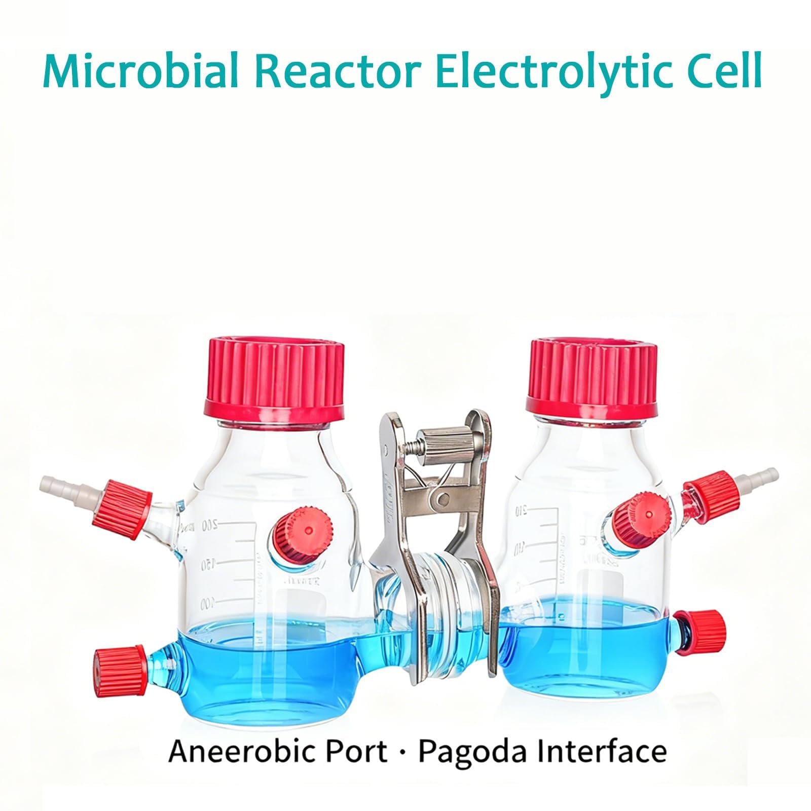 Cámara de reacción electroquímica microbiana, reactor de vidrio de doble cámara, capacidad de 100-2000ml, con membrana de intercambio de protones y puerto de torre, para experimentos