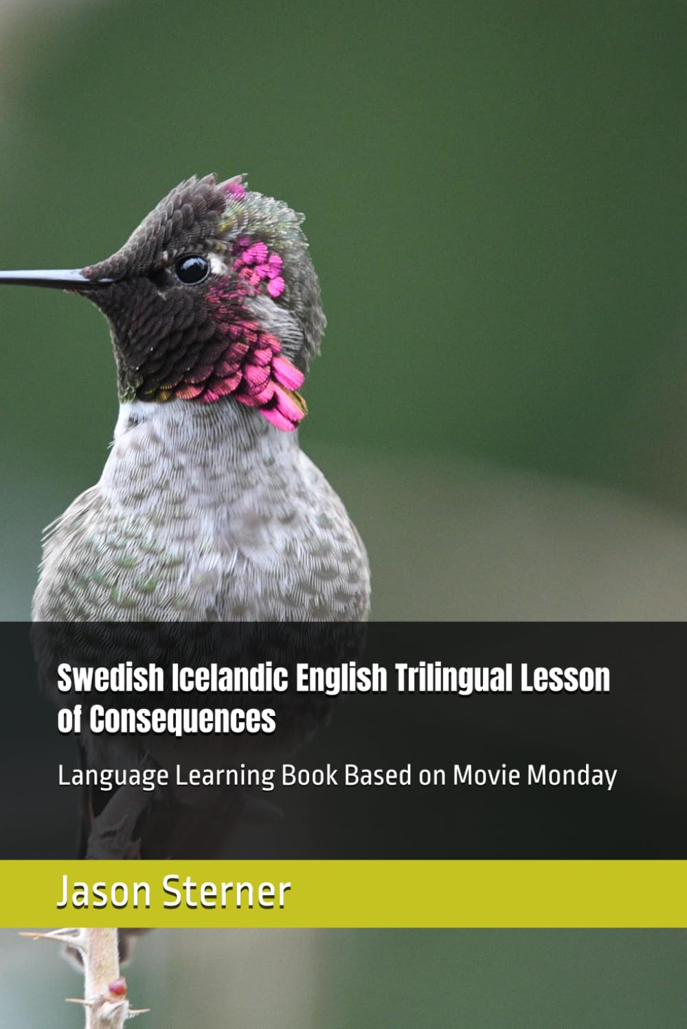 Swedish Icelandic English Trilingual Lesson of Consequences: Language Learning Book Based on Movie Monday