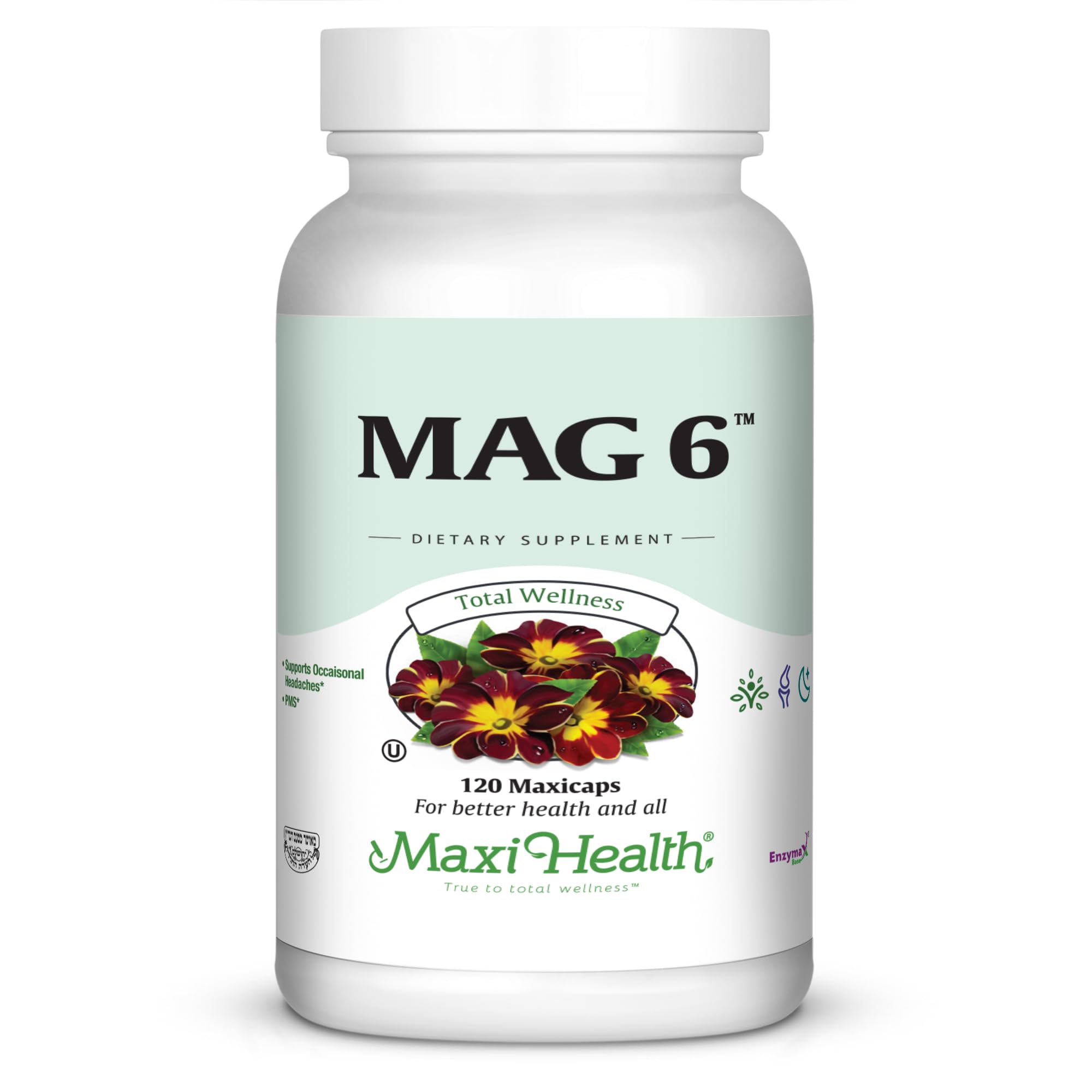 Amazon.com: Maxi Health MAG 6 - Magnesium (as Oxide, Glycinate