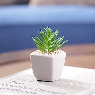 Pure Home and Living Set of 4 Green Faux Succulent with Cement Pot-picture-14