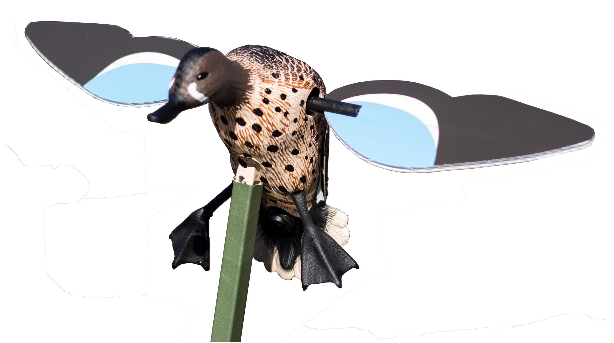 MOJO Outdoors Elite Series Pintail Decoys - MOJO Duck Decoys