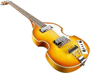 Amazon.com: Rogue VB100 Violin Bass Guitar Vintage Sunburst