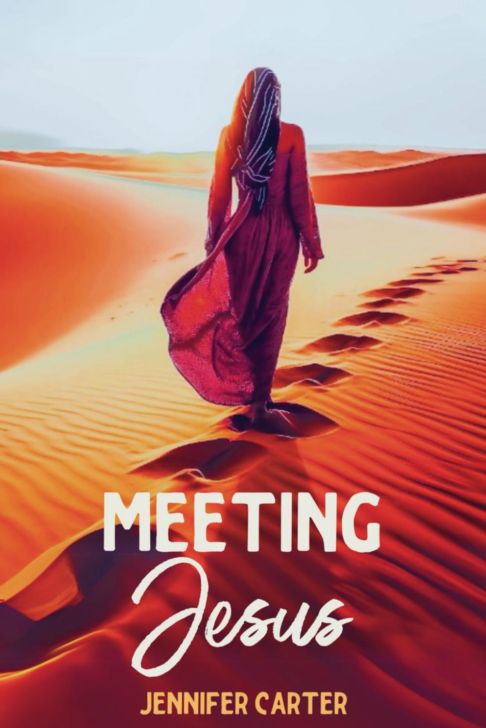 Meeting Jesus: Nine Bible Women, Nine Stories of Hope, Healing and Freedom : A Daily Devotional for Women with Reflection Questions