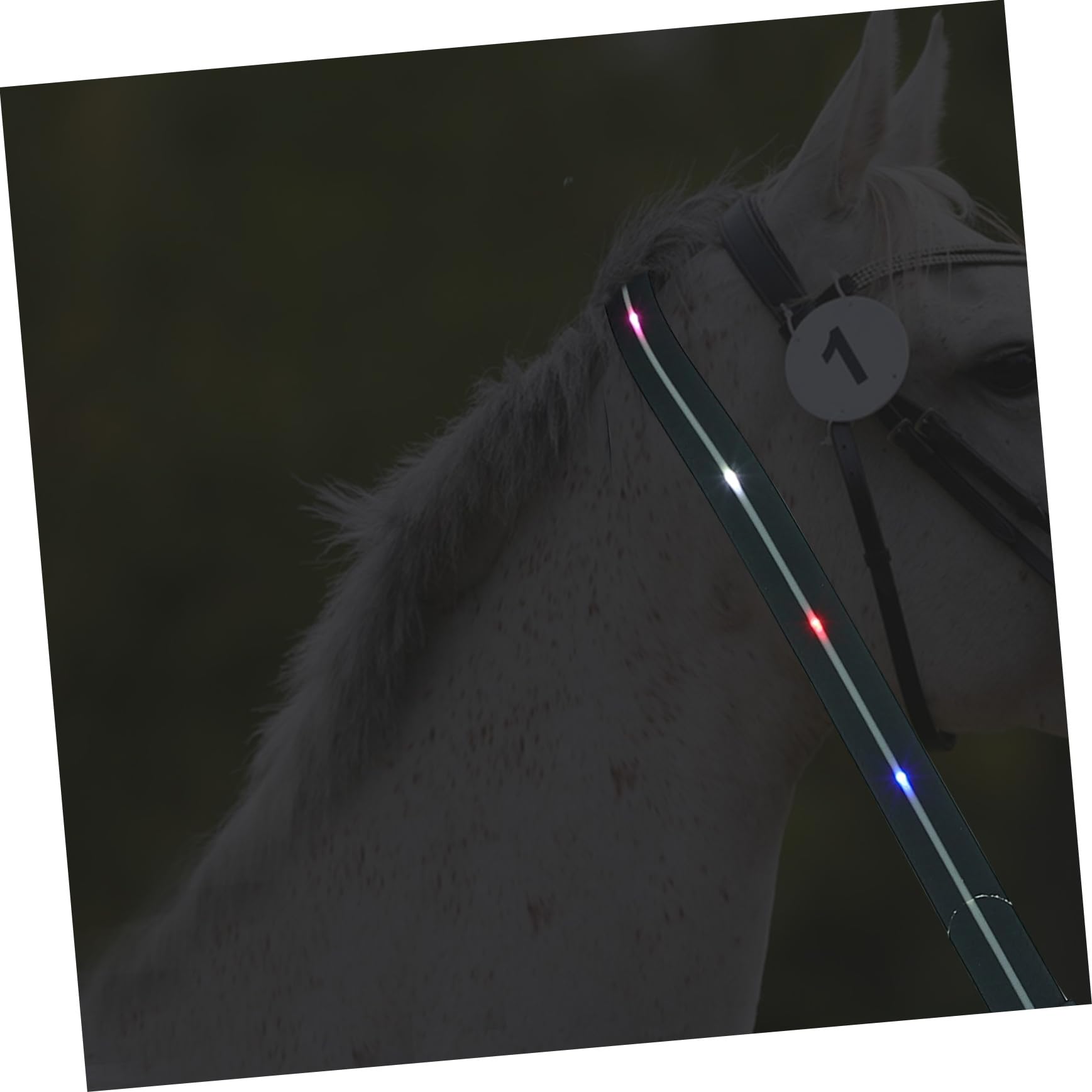 KOMBIUDA Correa Luminosa Ajustable Para Montar A Caballo Collar De Pechera Led Para Caballos
