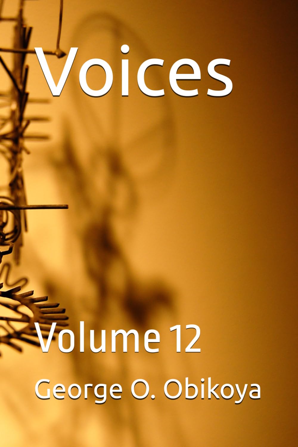 Voices: Volume 12
