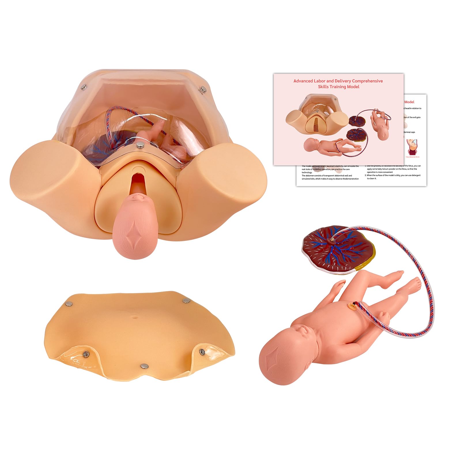 Advanced Midwifery Training Childbirth Simulator Life Size Gynecology Maternity Teaching Model Includes Models of Baby Uterus Amniotic Sac